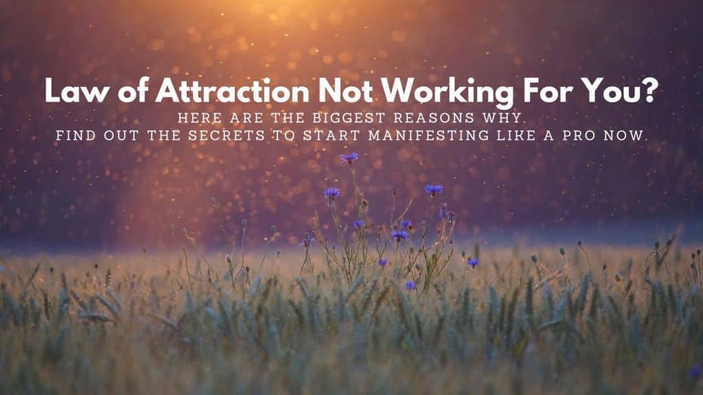 law of attraction not working for you? Find out why here.